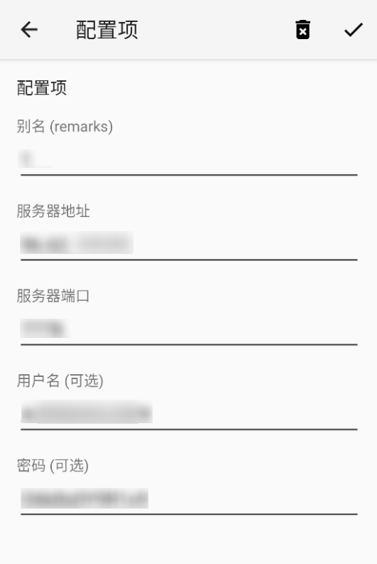 如何在安卓使用v2rayNG配置MaskProxy?