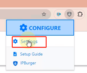 IPBurger Proxy & VPN