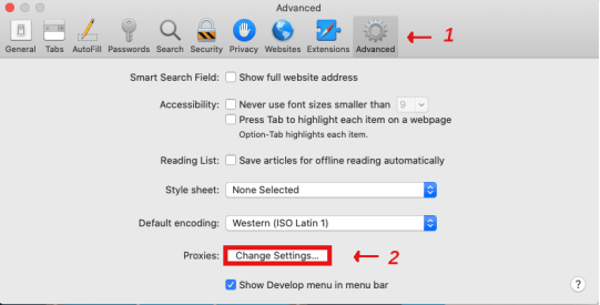 Safari Safari 中文界面参考图 2